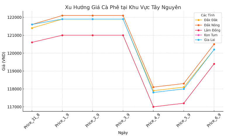 Bieu do gia ca phe ngay 6.9.2024_1725591196.png